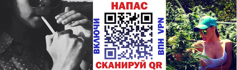 Купить где  Талица  Каннабис план 